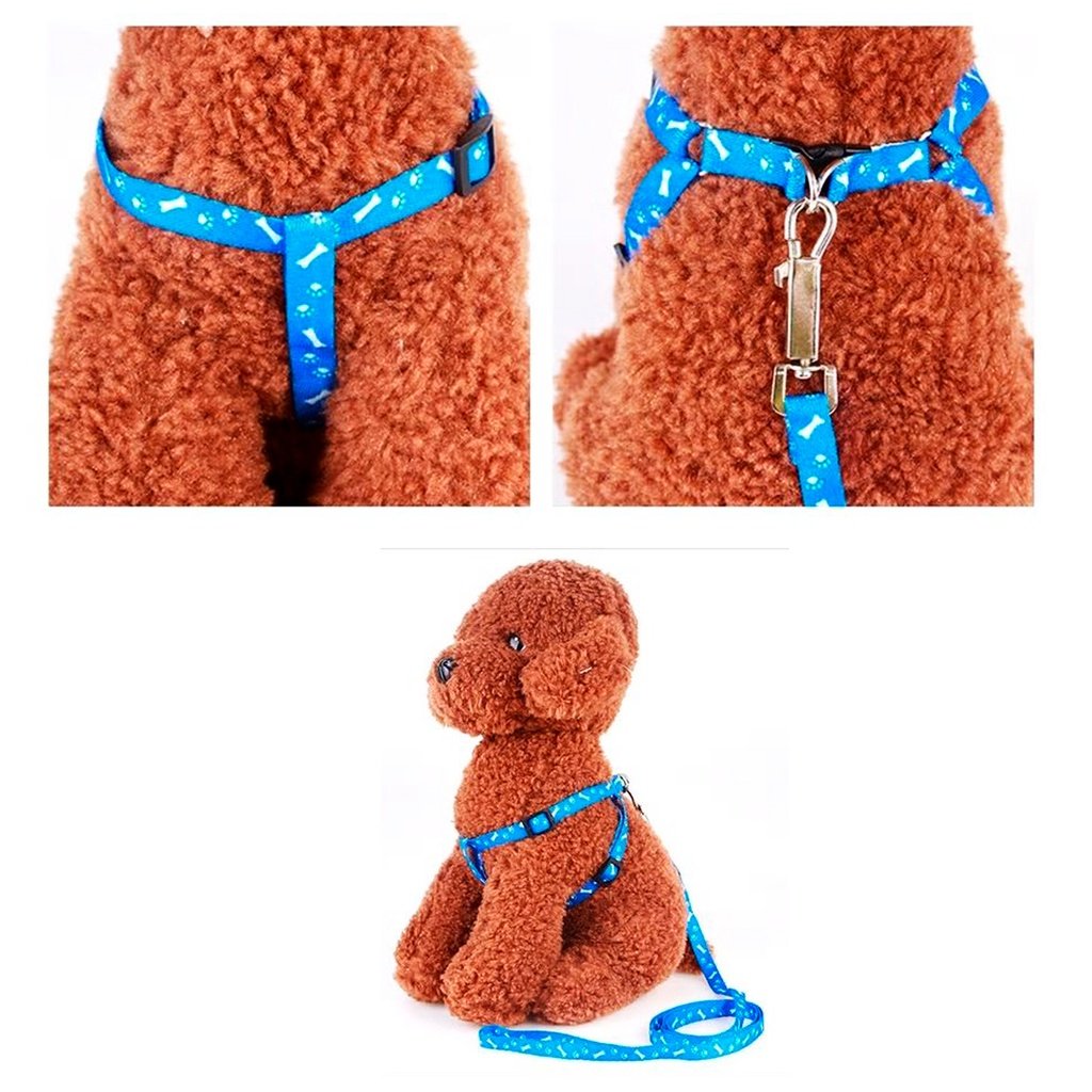 Guia Coleira para Cachorro Cachorrinho Cão Pequeno Ajustável - Imagem 4